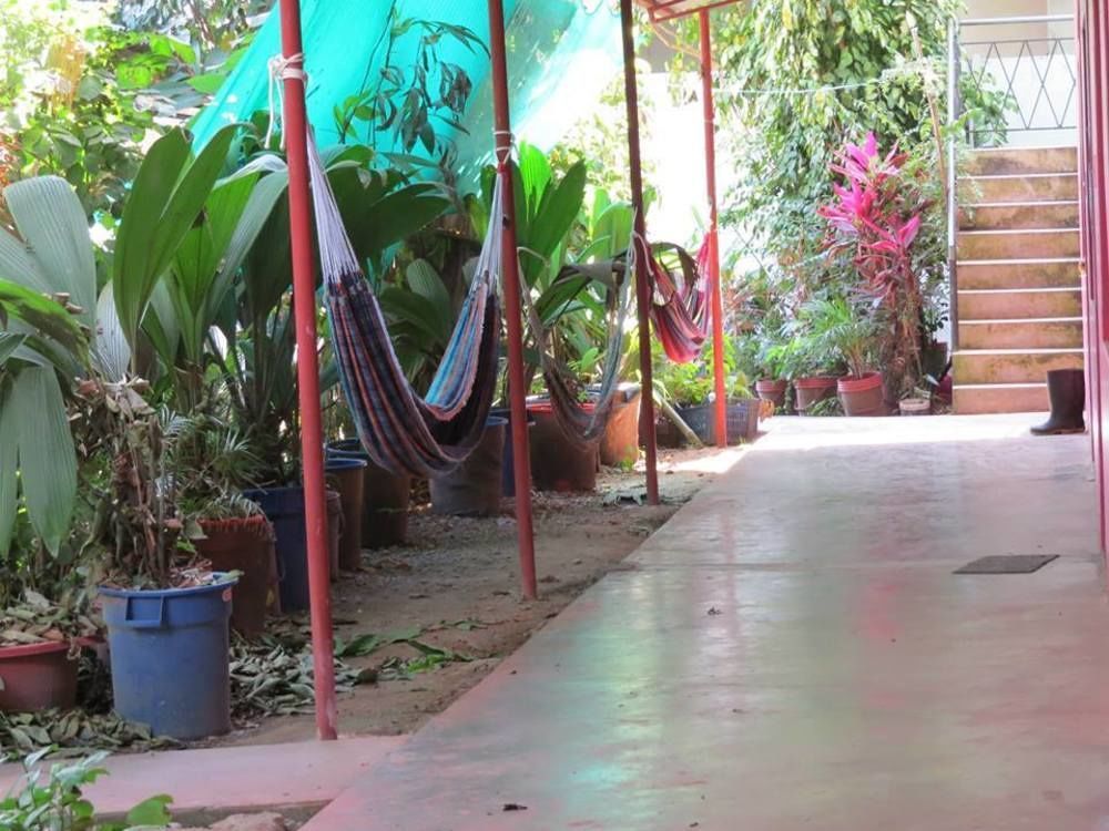 Tambopata Hostel Bambu Puerto Maldonado Zewnętrze zdjęcie