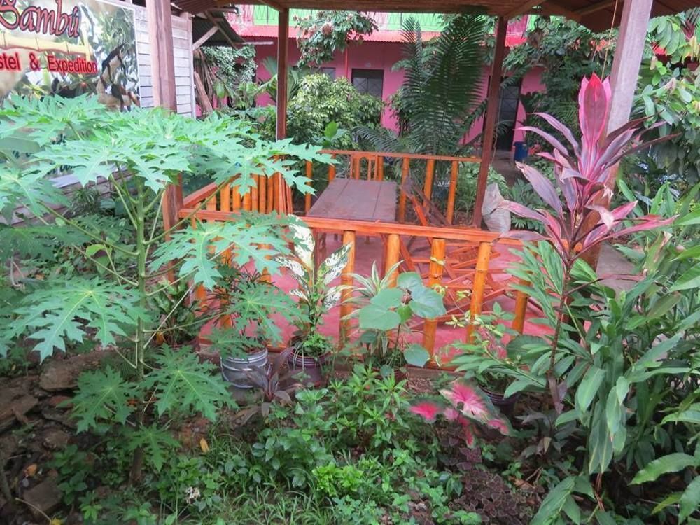 Tambopata Hostel Bambu Puerto Maldonado Zewnętrze zdjęcie