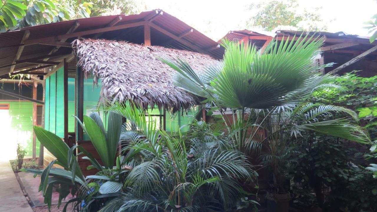 Tambopata Hostel Bambu Puerto Maldonado Zewnętrze zdjęcie