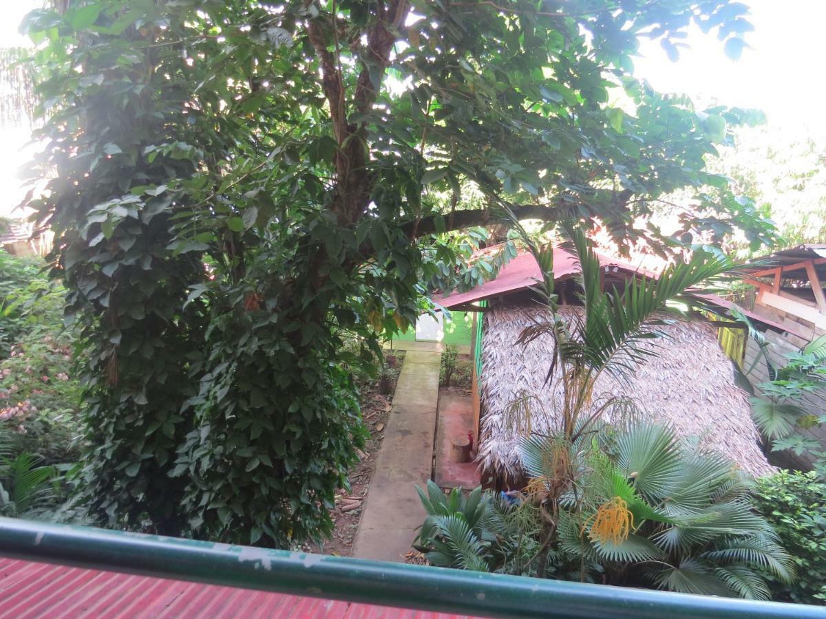 Tambopata Hostel Bambu Puerto Maldonado Zewnętrze zdjęcie