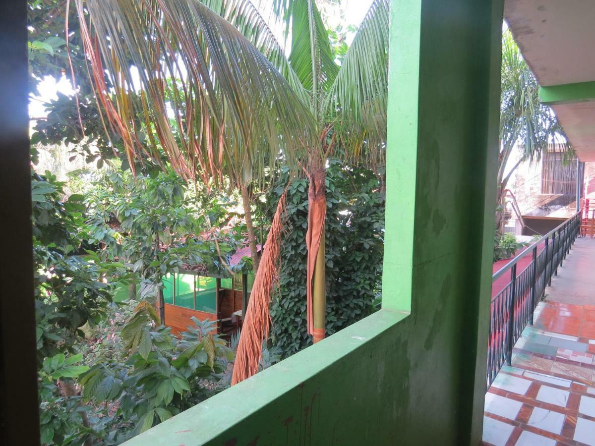 Tambopata Hostel Bambu Puerto Maldonado Zewnętrze zdjęcie